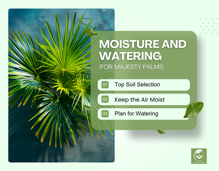 Graphic with moisture and watering tips on palm leaf background